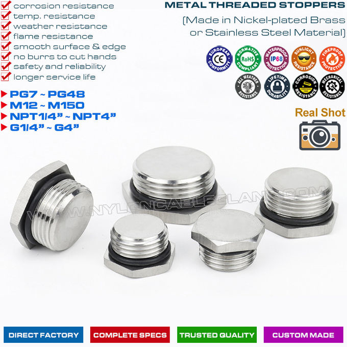 PG7~PG48 ve M12~M110 dişli Metal (Pirinç, Paslanmaz Çelik) Altıgen Kör Tapalar